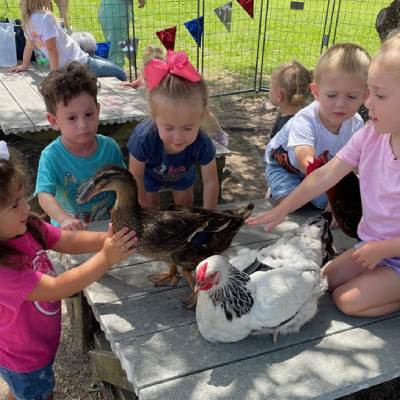 Saint Francis Creative Farms is a Petting Zoo in Crosby, TX 77532